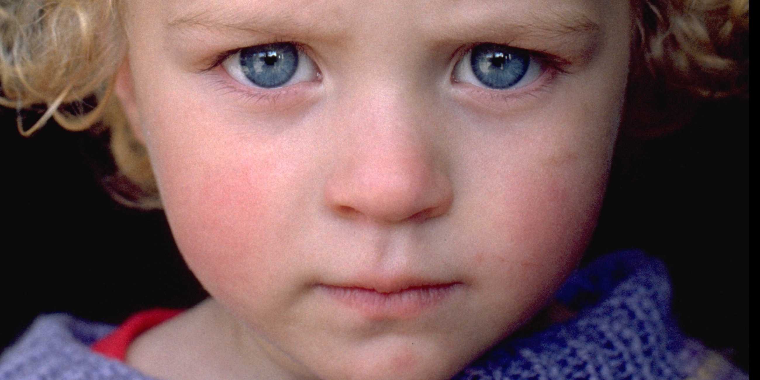 95-0847-roger-lemoynebeskuren 2368e336a2e8de0f