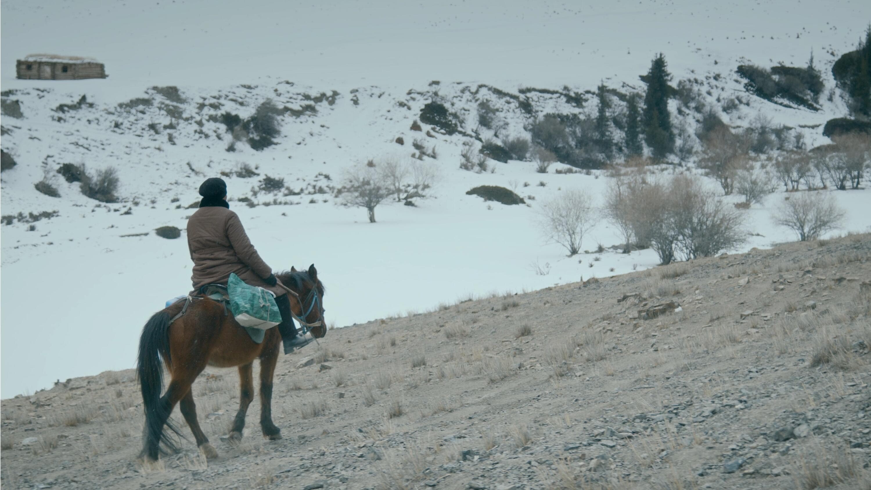 Vaccinatör leverar på häst – Kirgizistan 2025