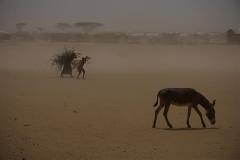 Kenya-2011-Kate-Holt-490.jpg