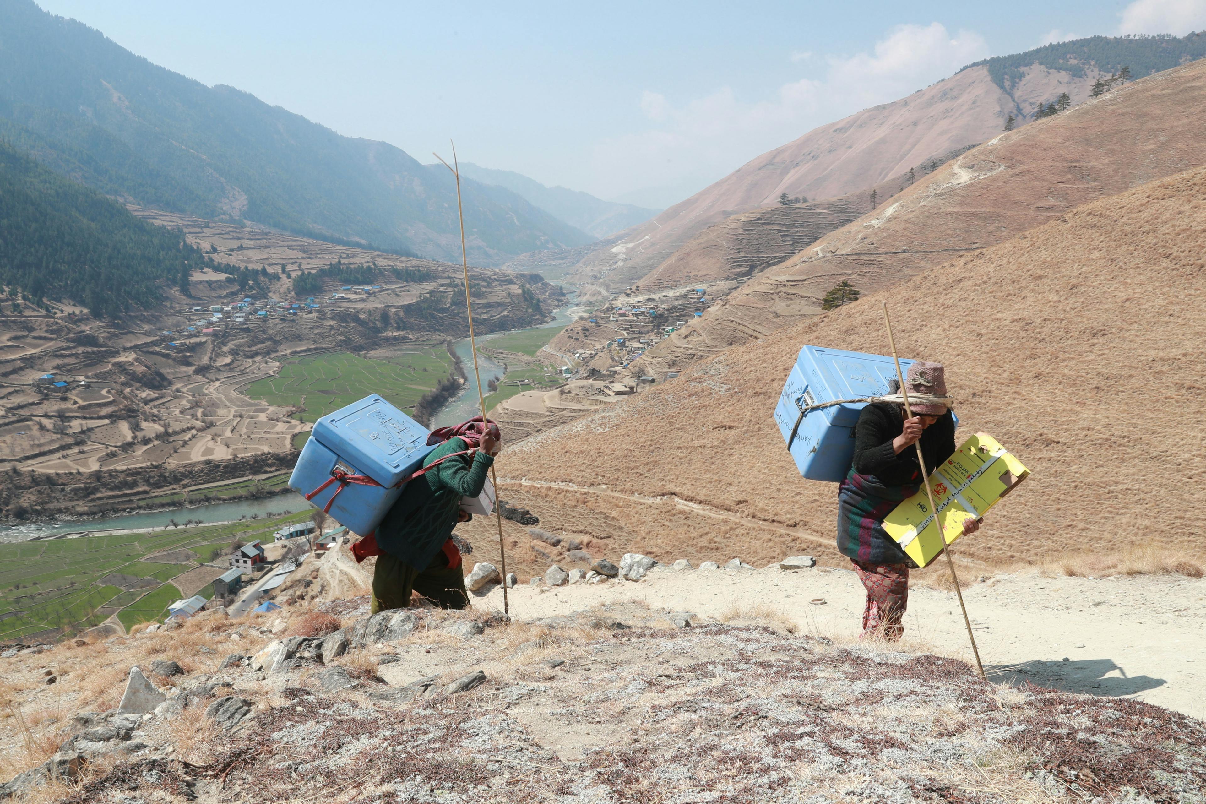 Vaccin levereras i bergen i Nepal