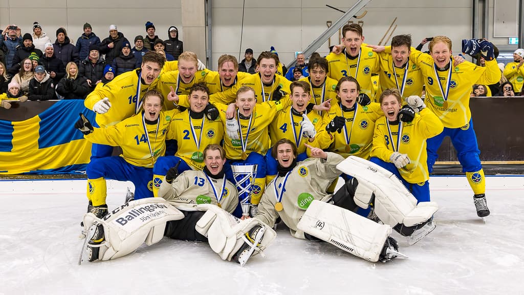 P17 SE Finalvinnare